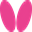 butterflybordtennis.shop favicon